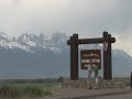 Grizzlies of Grand Teton National Park