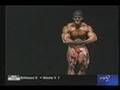 Bodybuilder-RIGOBERT
