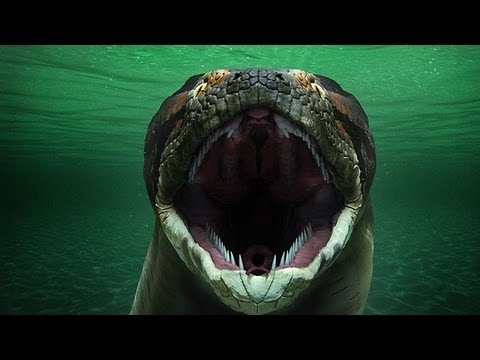 YouTube reptile video