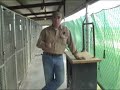Heritage Kennels - Junior Dogs - Force Fetch
