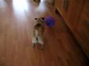 Spelen met een ballon