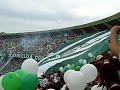 Camisao + Extintor na cara dos atleticanos HAHA