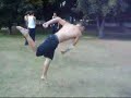 Slavik tricks
