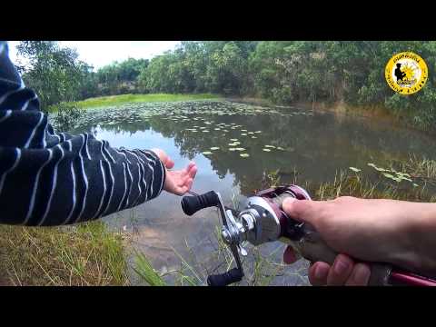 ตกปลาช่อนบ่อขุดหน้าดินกับกบลุงใหญ่ + กล้อง SJ4000 #1 (Fishing striped snakehead)