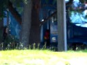 Prostitute Picked Up By Werner Enterprises Truck!!?