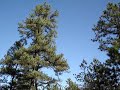 Makepeace Lake WMA