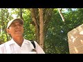 explicacion chichen itza