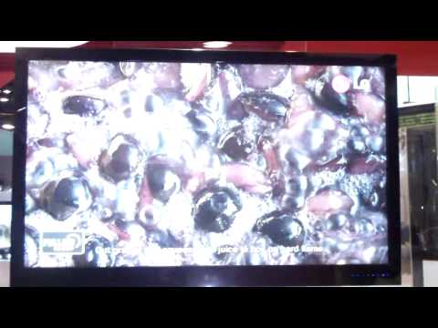 YouTube Preview Image