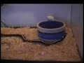 Neo Mouse
