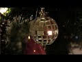 Milen's Decorated Christmas Tree for 2009