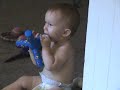 squeaky toy, howling dog