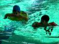 videos de Our Two Little Fishes