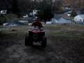 videos de young stunter