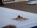 Turn-Weltcup Stuttgart 2008
