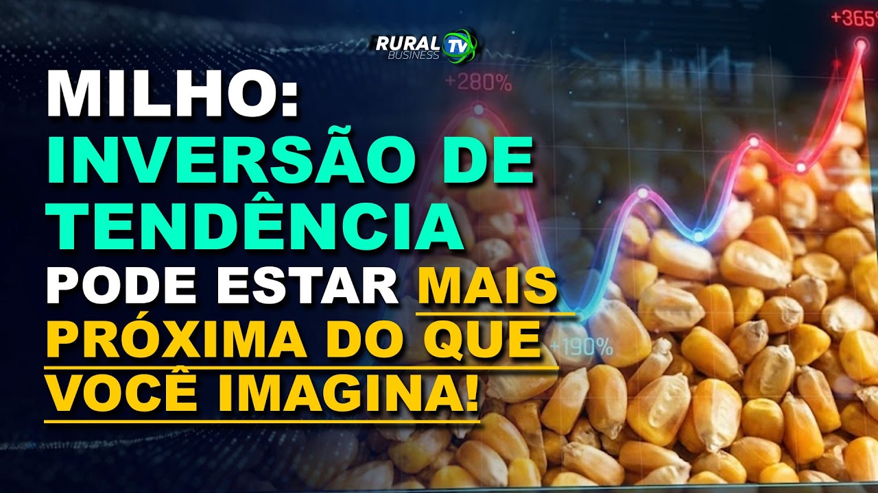 MILHO: INVERSÃO DE TENDÊNCIA PODE ESTAR MAIS PRÓXIMA DO QUE VOCÊ IMAGINA!