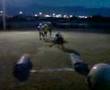 videos de TRAINING DAY