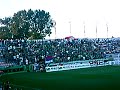 Viva GKS!! G�rnik - Motor