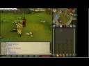 Runescape fire glitches