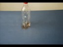 botella que cae botella que cae