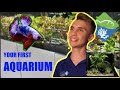 Best All In One Aquarium Freshwater