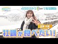 【4/6(土)topoで配信開始】SKE48 菅原茉椰の宮城でやりたい48のこと【見どころ】
