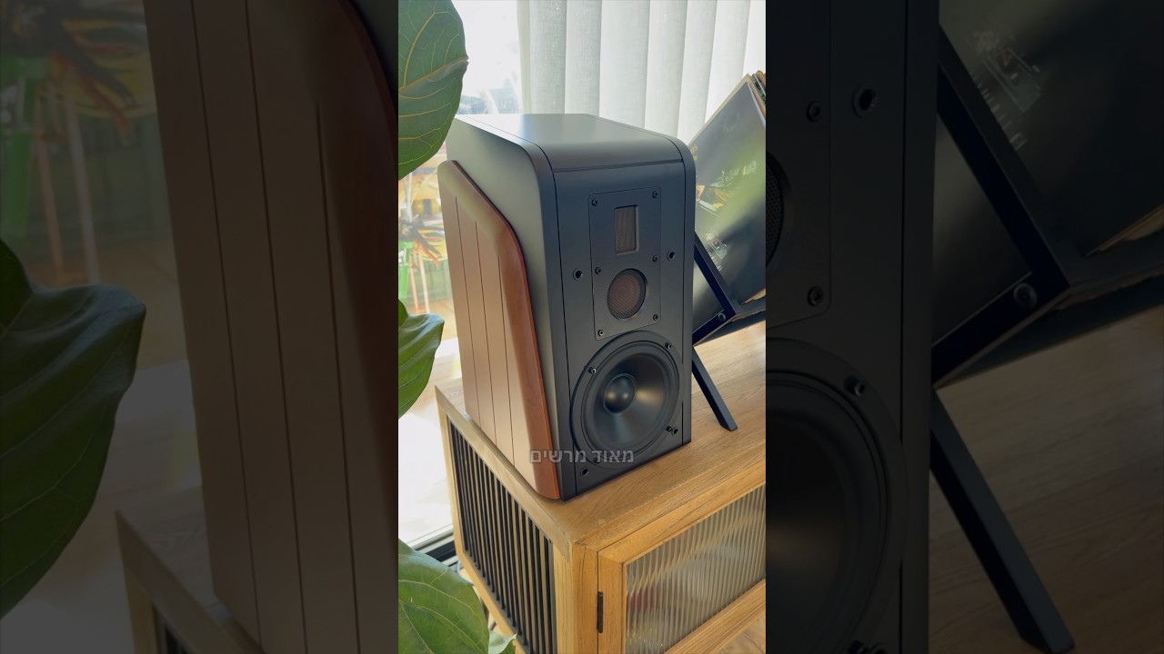 Swan M300mkii | סאונד טוב במחיר טוב!