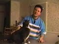 re-cat-talking-translation.html
