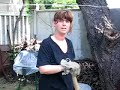 Bruna e il giardinaggio 2