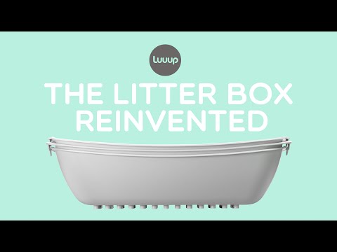 Best Litter Box