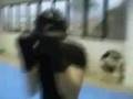 Fight test -- A fighting test against my friend Gratton Matteo