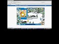 How to Make Your Parrot come to You in Club Penguin