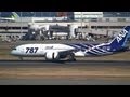 ANA Boeing 787-881 Dreamliner JA801A JA802A Landing at Haneda