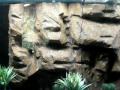 DIY Background project for 220 gallon