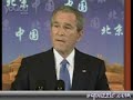 bush\