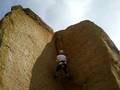 Chis decends South American Crack
