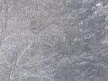 April Snow in Surrey (www.snow-cams.com)