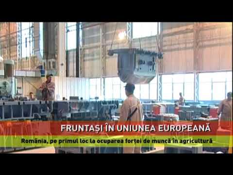 România, pe primul loc la ocuparea forței de muncă în agricultură