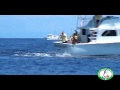 Hawaiian International Billfish Tournament 2011 - Final Day