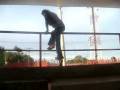 videos de dame mi dinero!!!!!