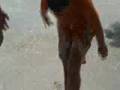 videos de capetown 2006 part2