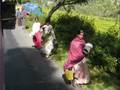 Scenes of Ooty, high in the Nilgiri Hills