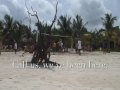 Iberostar Cozumel - www.WildTravelDeals.com
