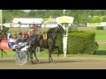 Elitloppet 2011 BRIONI & Joakim Lövgren - Solvalla Sweden 29 05 2011