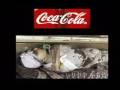 coca cola nin zararlari , islam ,yahudiler,israil ve filistin
