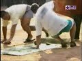 Elephant poops on tourists Elephant poops on tourists