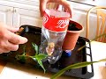 Water wicks for potted plants Water wicks for potted plants