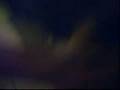 videos de Mum's crazy cat.