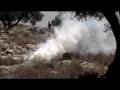 Nilin Village Non-violent Struggle Against the Wall