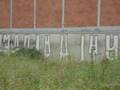 PLDS