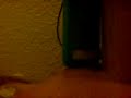 MOV00011.3GP